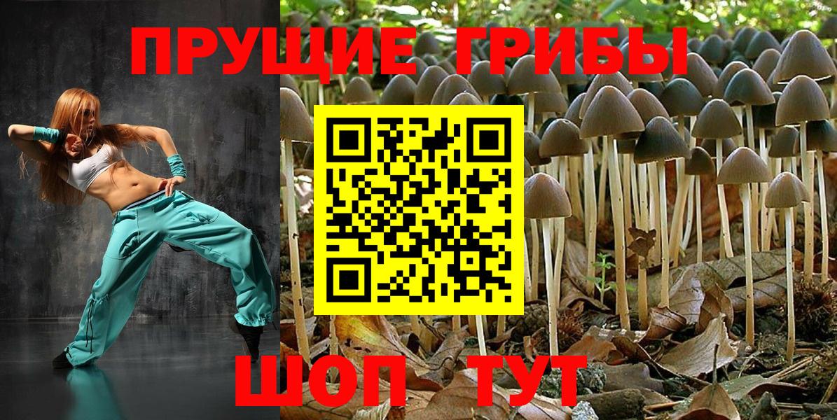 Фролово  Псилоцибиновые грибы мицелий  Вход с VPN 