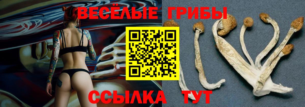Галлюциногенные грибы прущие грибы Фролово